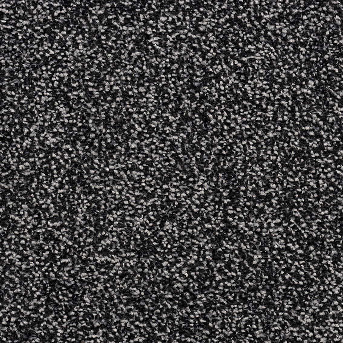 Velvet Dawn Carpet