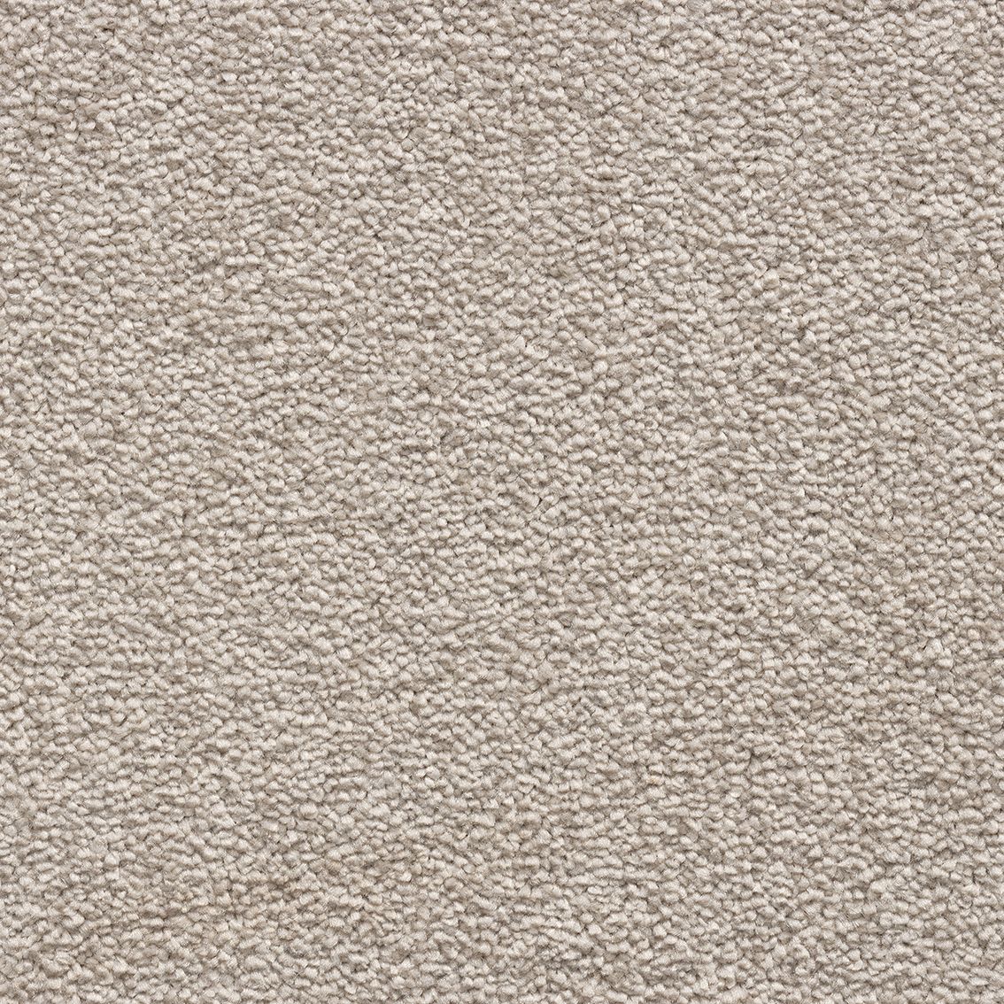 Velvet Dawn Carpet