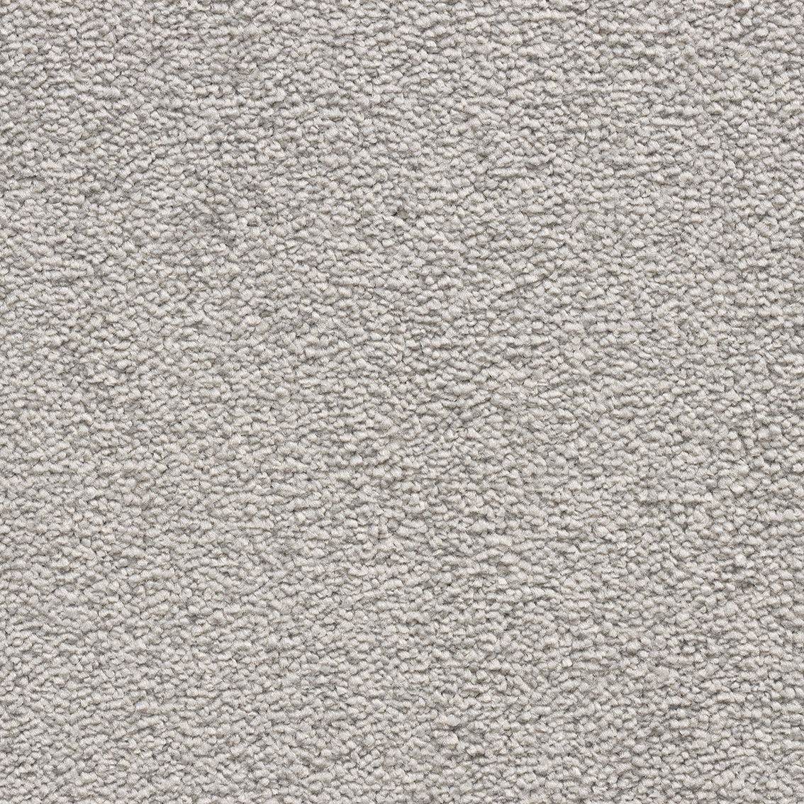 Velvet Dawn Carpet