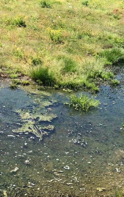 Septic Tank Maintenance — Specified Area To Install Septic Tank In Harvest, AL