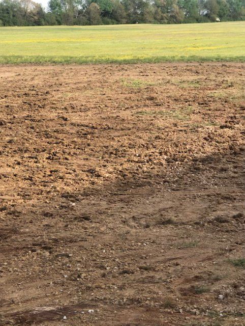 Septic Tank Excavation — Wide Area For Excavation In Harvest, AL