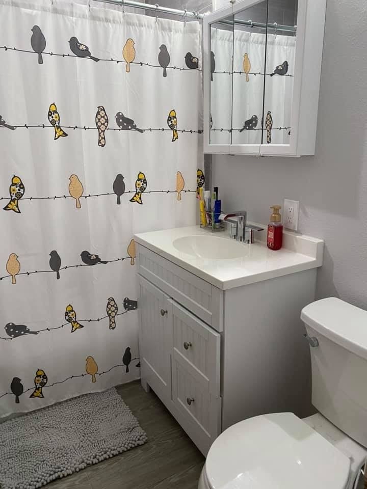 A bathroom with a toilet , sink , and shower curtain with birds on it.