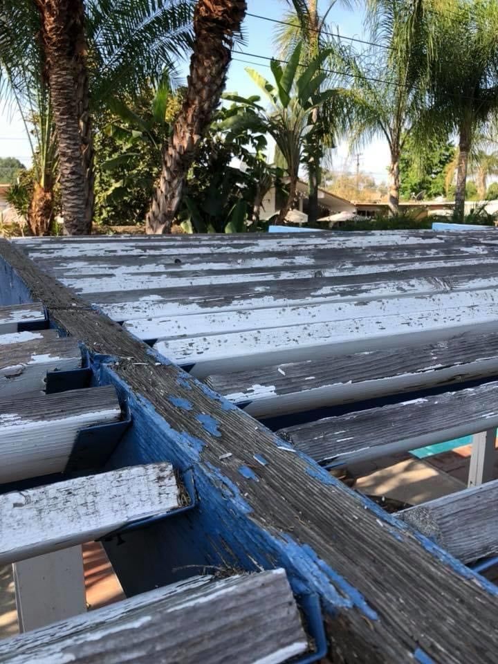 A wooden deck with peeling paint and palm trees in the background.