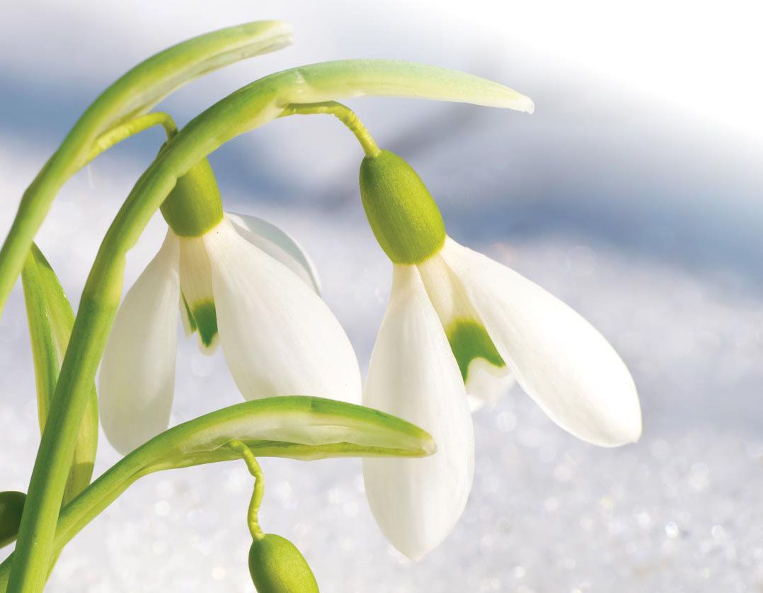 A dentist is examining a child 's teeth in a dental office.