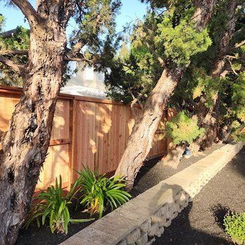 Fence Company Near Me