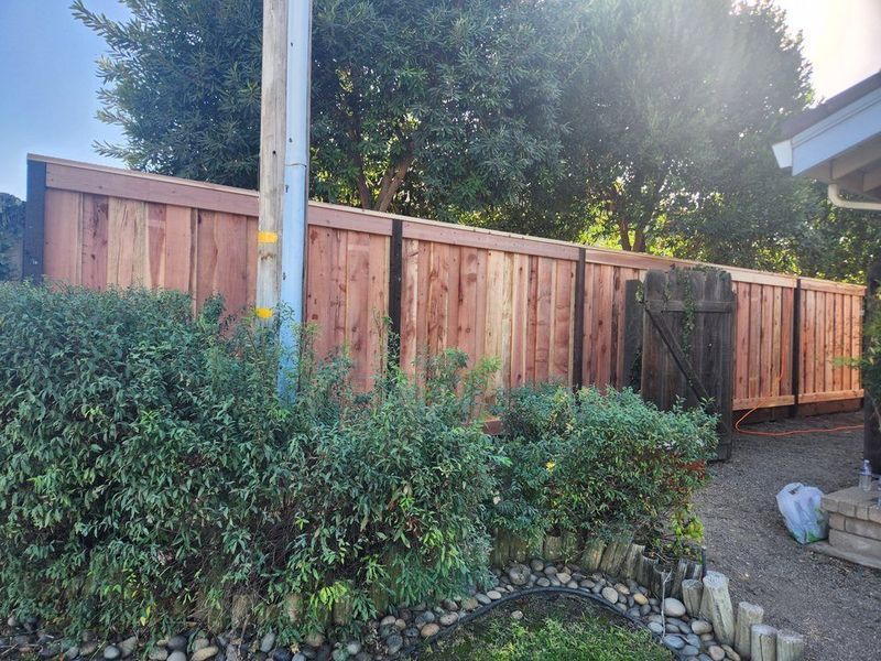 Fence Company Near Me