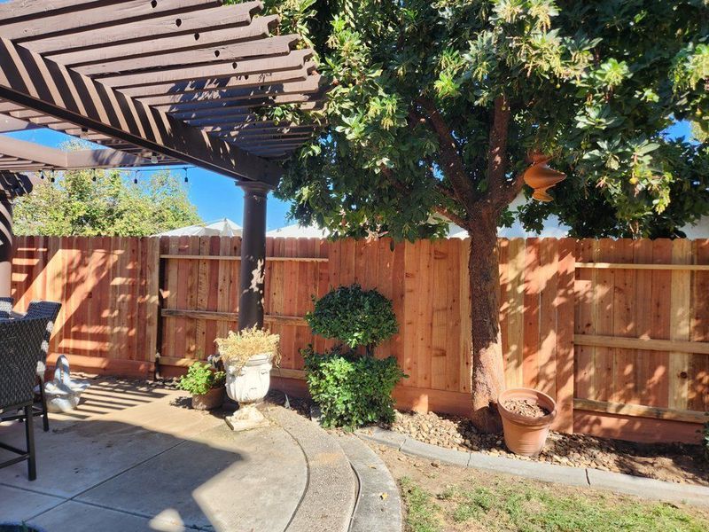 Fence Company Near Me