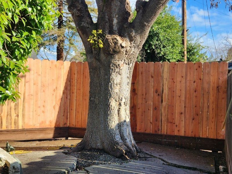 Fence Company Near Me