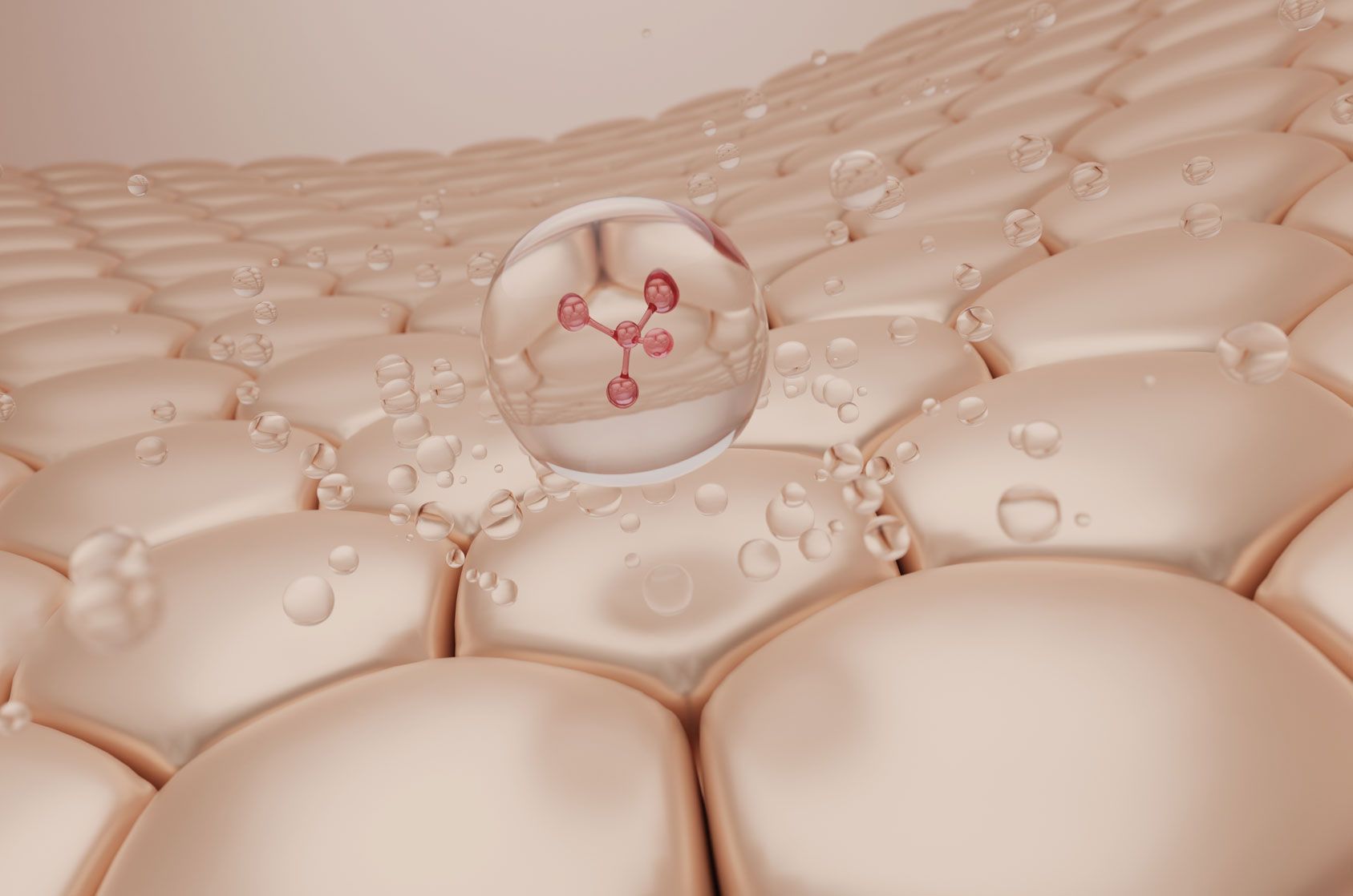 dermatologia de calidad