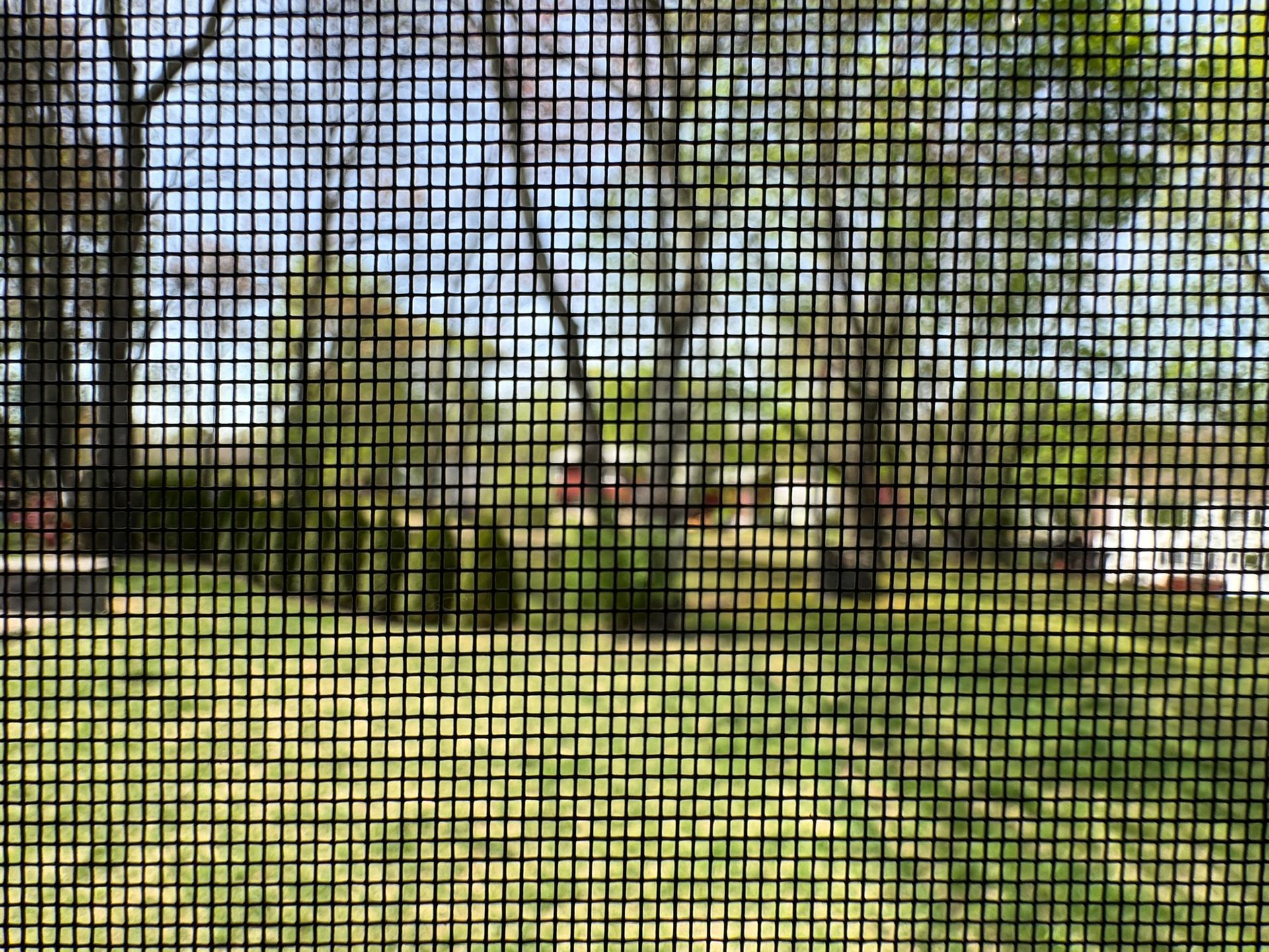 window screen avoid mosquitos