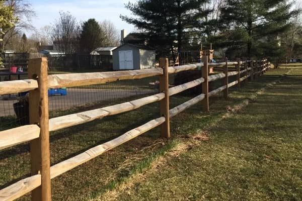Wooden split-rail fence in a grassy yard, trees and buildings in the background.