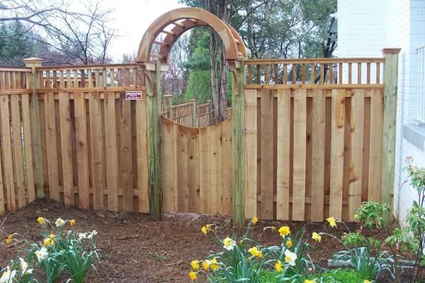 Wooden fence with archway gate; daffodils in foreground.