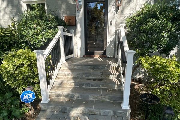 Stone steps leading to a house entrance, with white railings and black bars; flanked by bushes and a door.