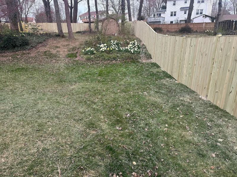 A wooden fence borders a grassy backyard with a patch of flowers. Houses are visible in the background.