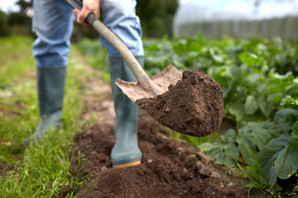 A man wearing green gloves is rolling a roll of grass in a garden.