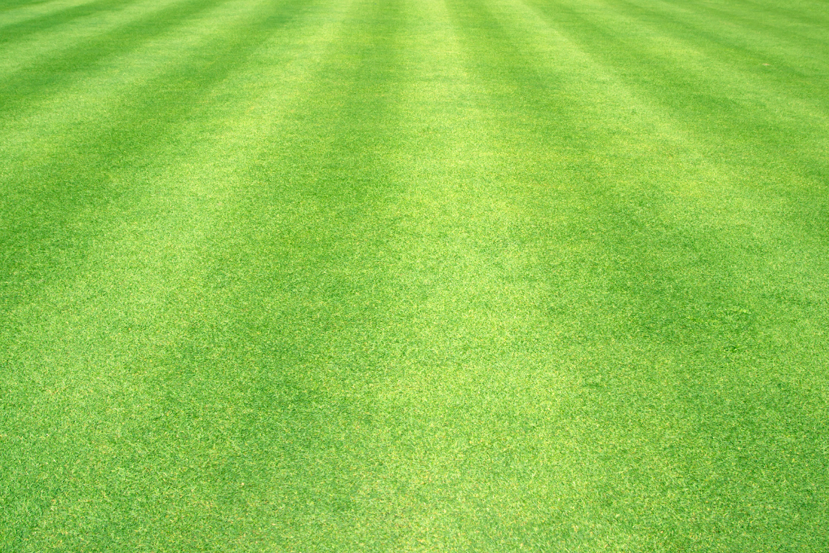 A red lawn mower is cutting a lush green lawn.