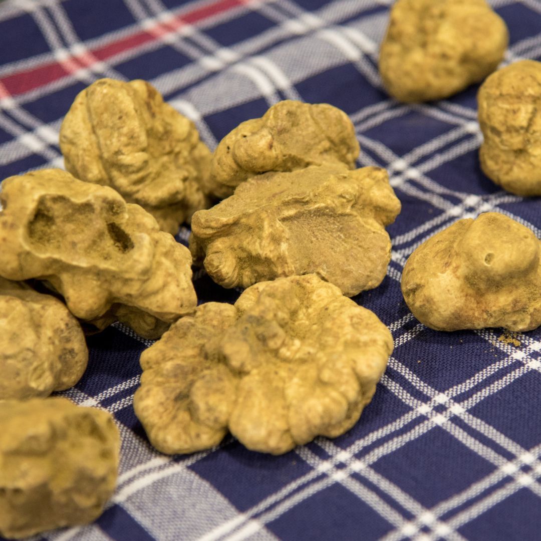 Truffes blanches & noires