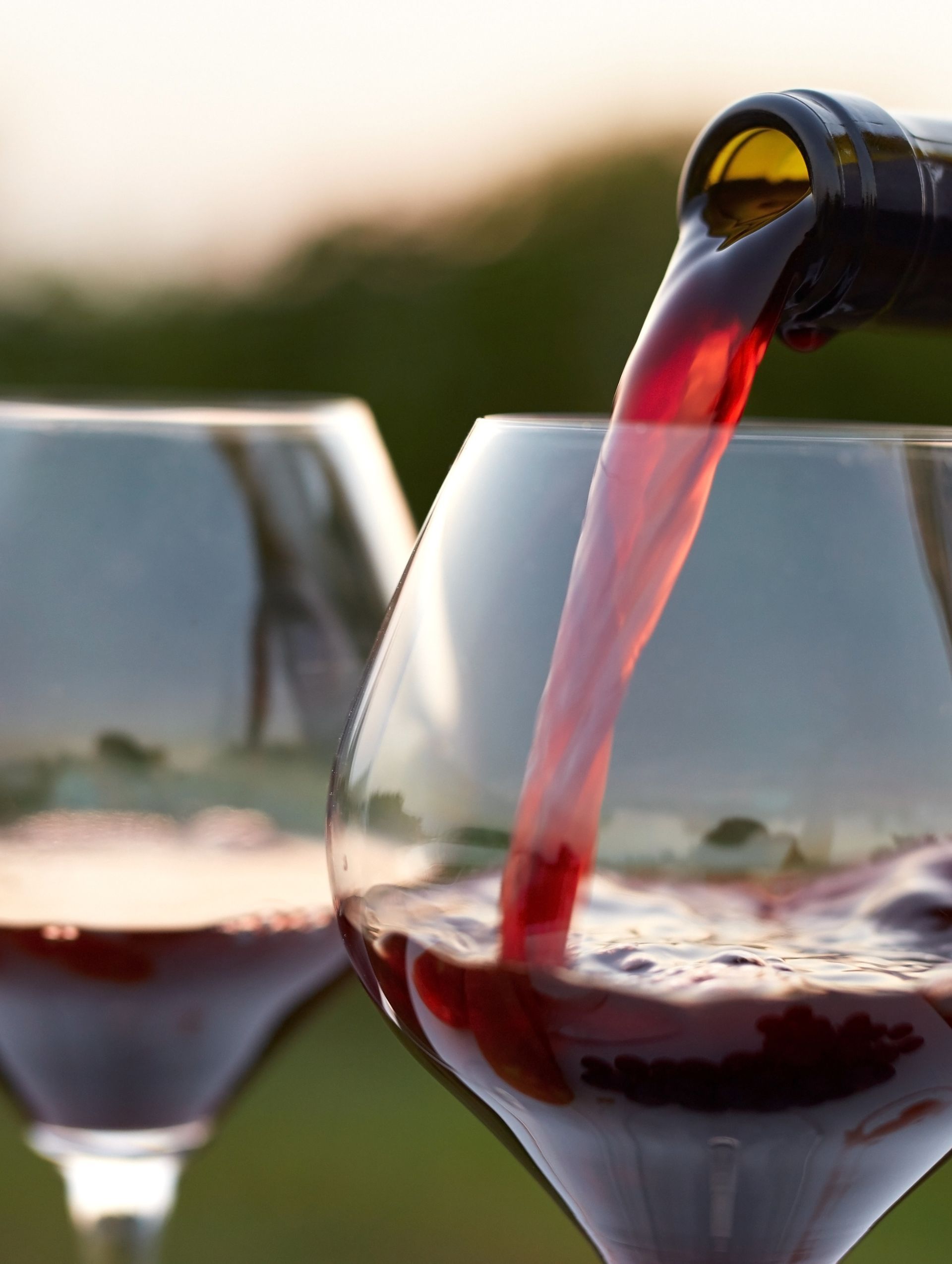 Vins, liqueurs & sirops