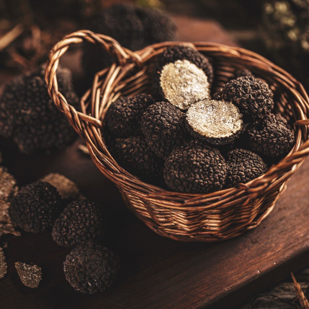 Truffe noire italienne