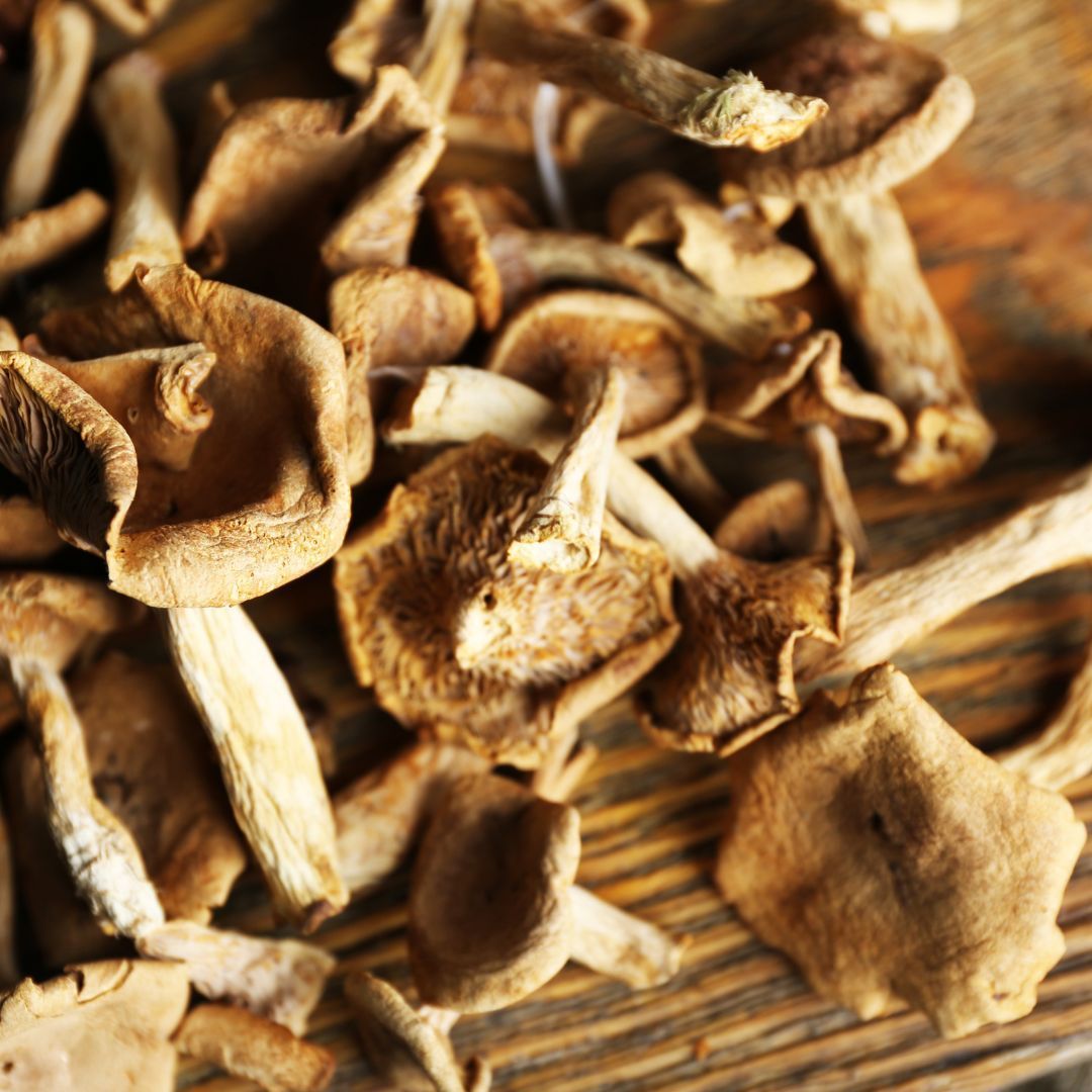 Champignons séchés