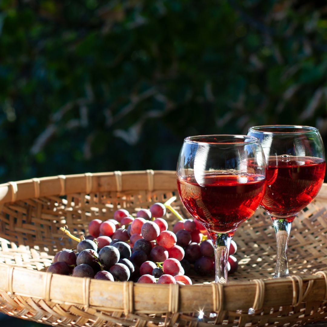 Wine, champagne and procesco