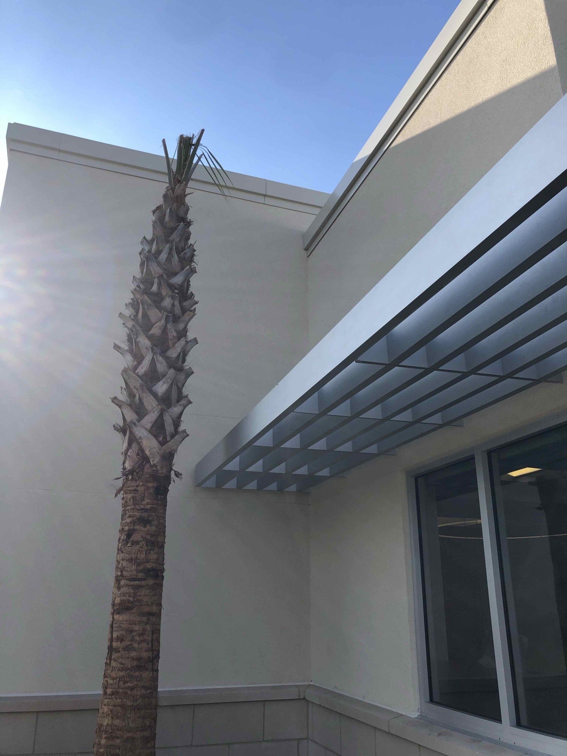 A palm tree in front of a building with a canopy over it