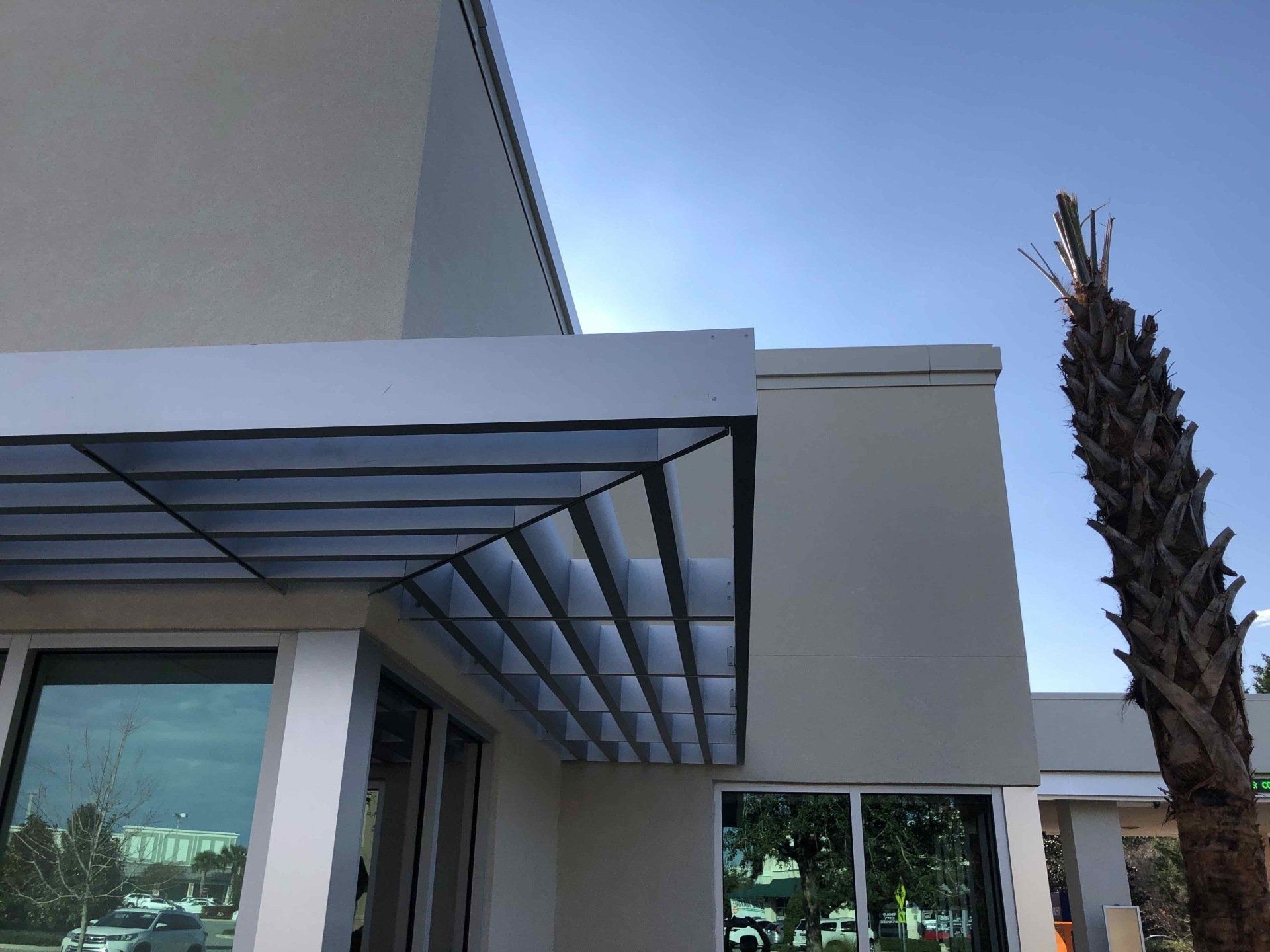 A white building with a palm tree in front of it