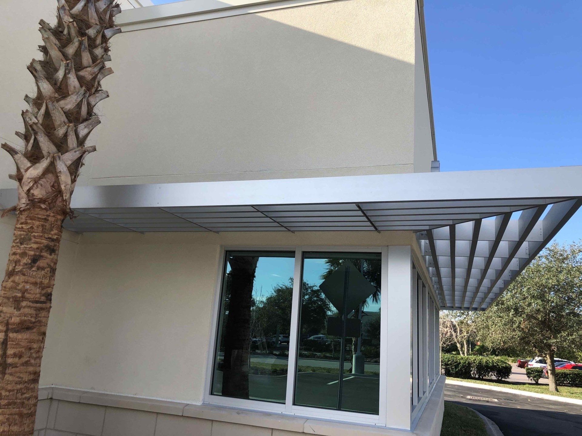 A white building with a palm tree in front of it.