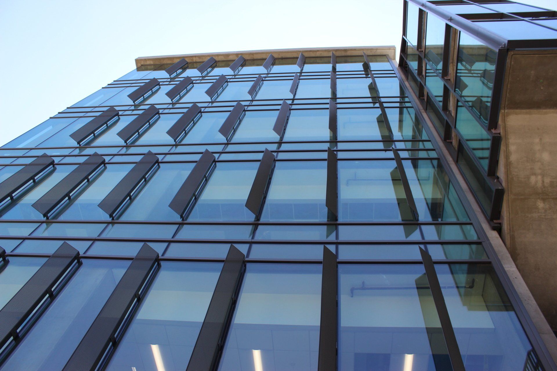 Looking up at a tall building with lots of windows