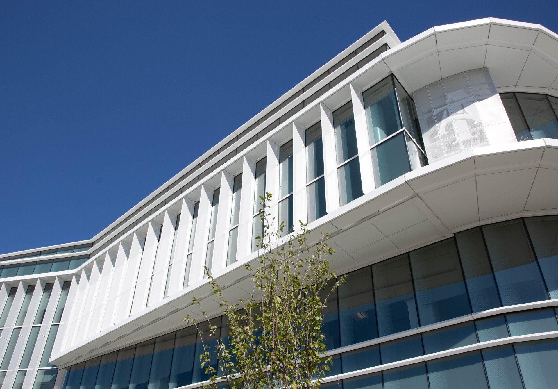 A large building with a lot of windows and a tree in front of it