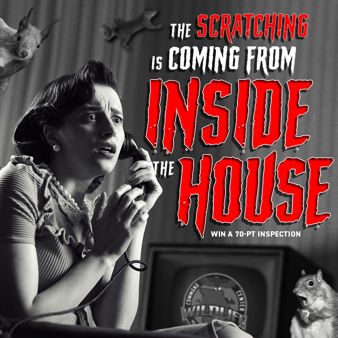 A poster featuring a retro woman in black and white saying the scratching is coming from inside the house