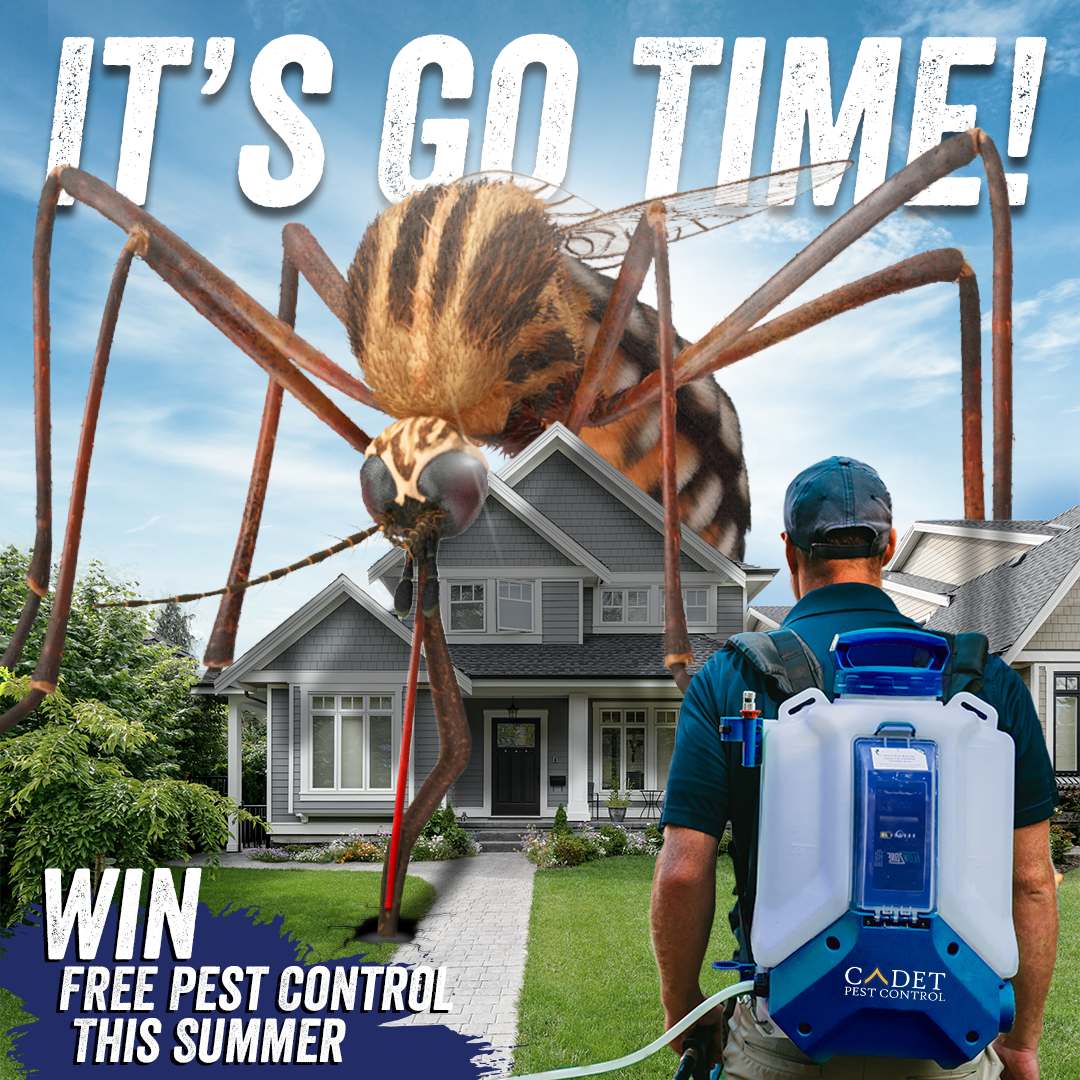 A man with a backpack spraying a mosquito in front of a house.
