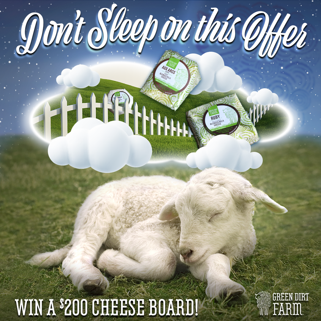 A picture of a sheep sleeping on a cheese board