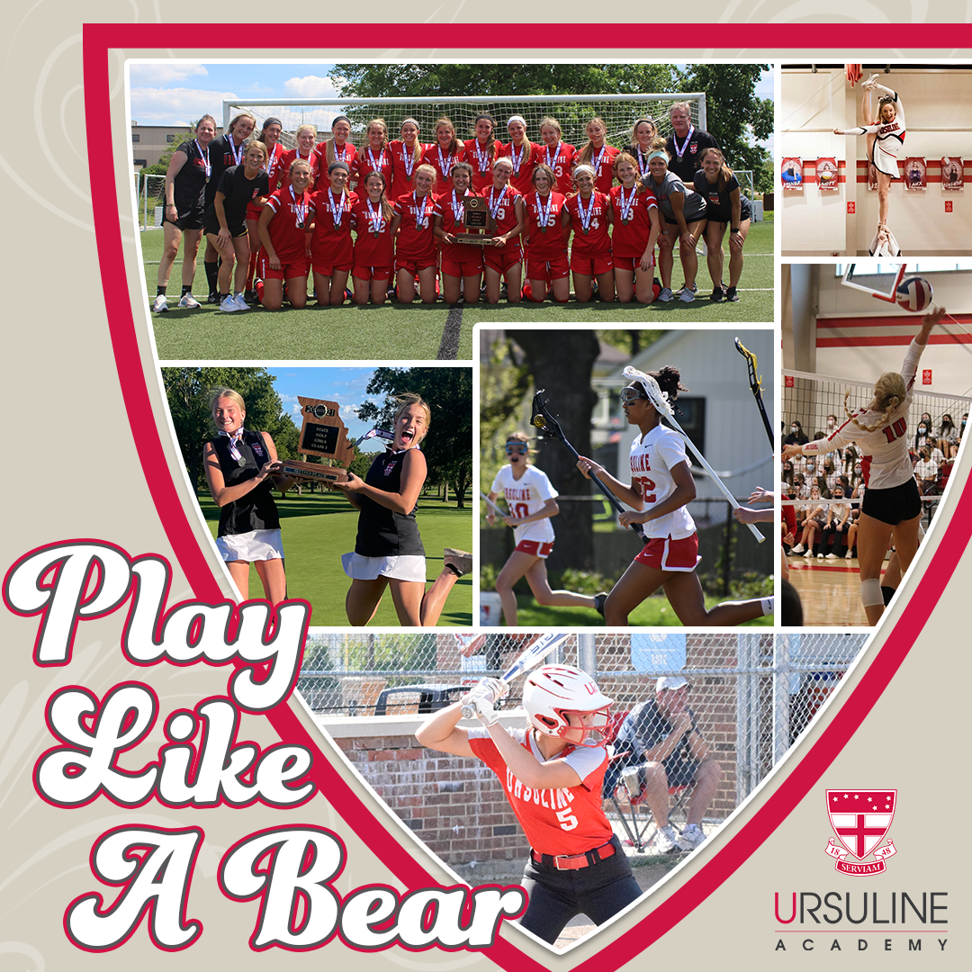 A poster that says play like a bear on it