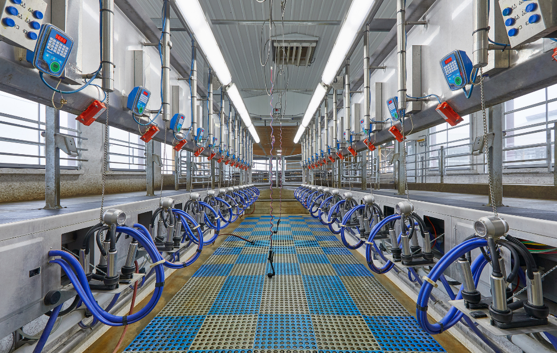 Milking Parlors JBZ Dairy Advantage Rotary Parlors, Herringbone, Parallel and StepUp