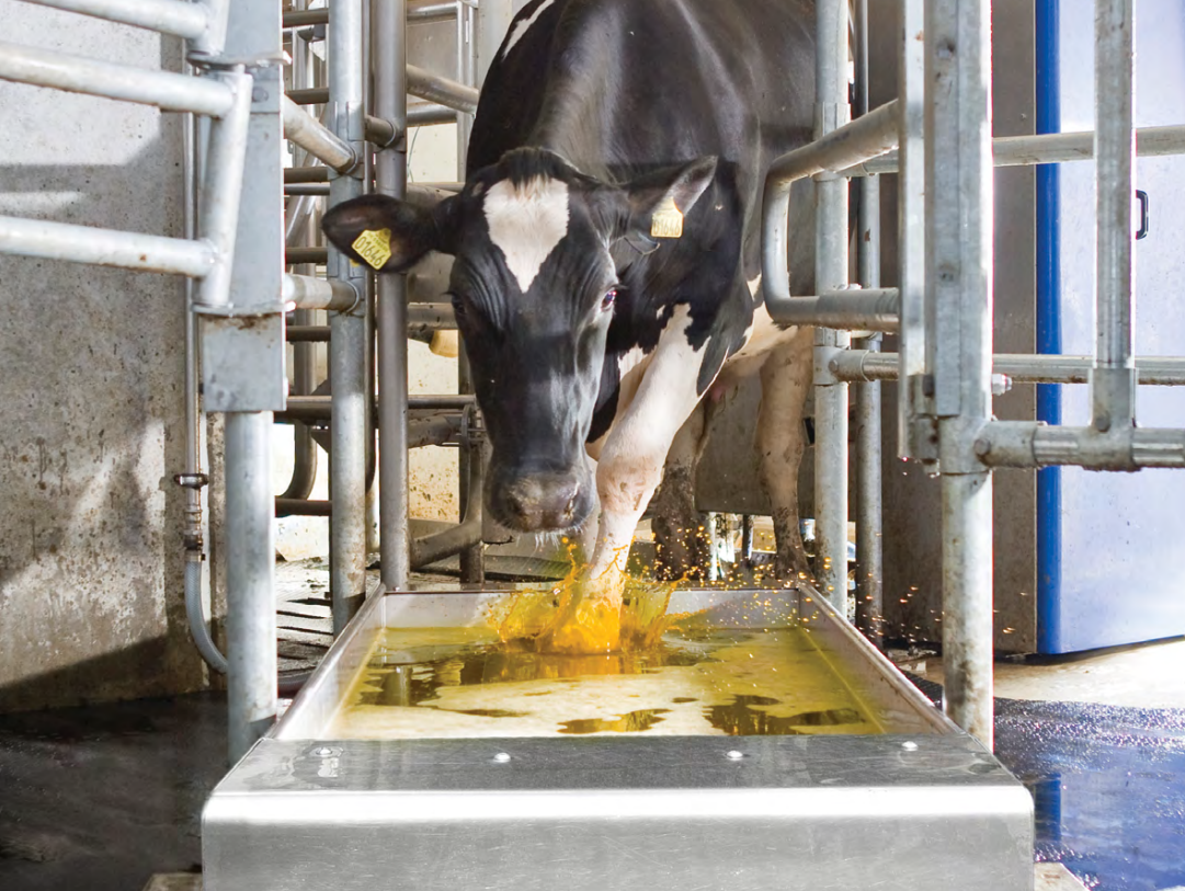 Teat Prep Dippers and Sprayers| Milking Equipment | JBZ Dairy DeLaval Dealership