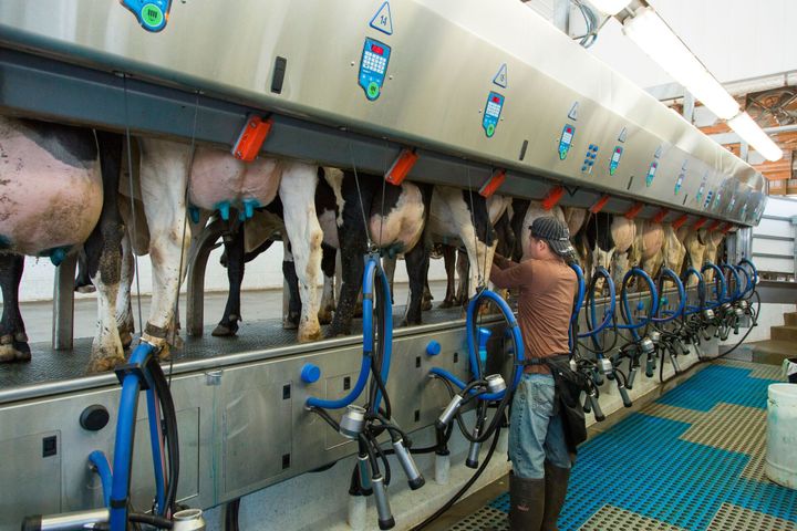 JBZ Dairy Advantage Milking Parlor Installations | DeLaval Service and Sales