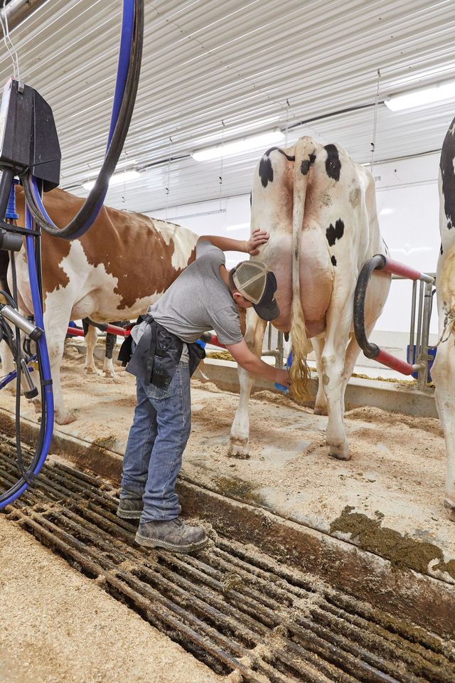 Farm Milking Equipment – Jim's Dairy Store