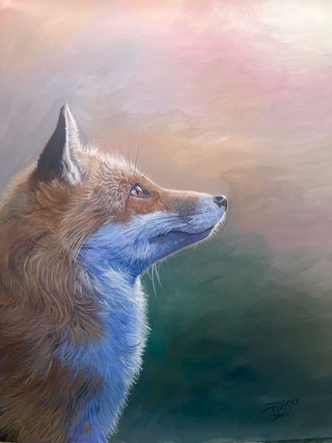 Fine detail of a fox head with light indicating possible early morning light coming from upper top right.