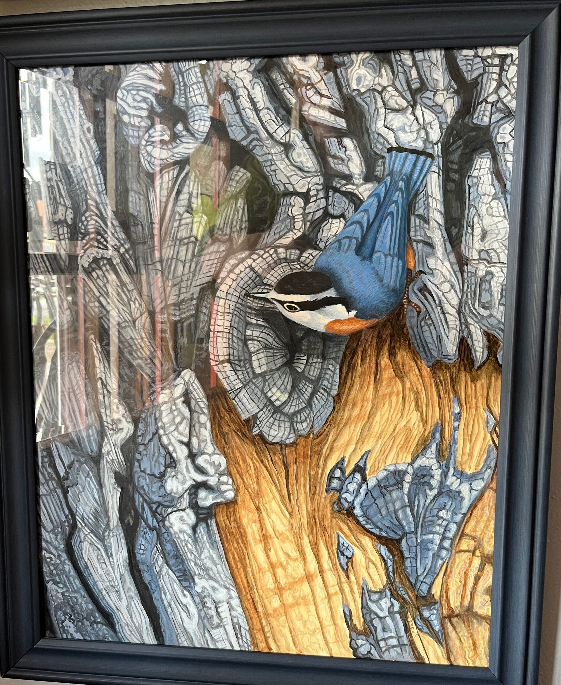 Nuthatch Limited Print by Charles Street