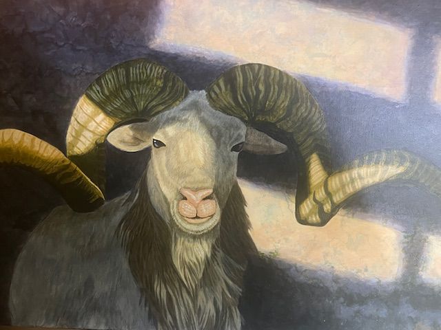 Ram in Shadows