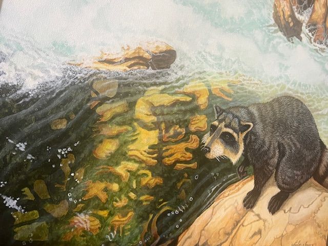 Raccoon Original by Charles