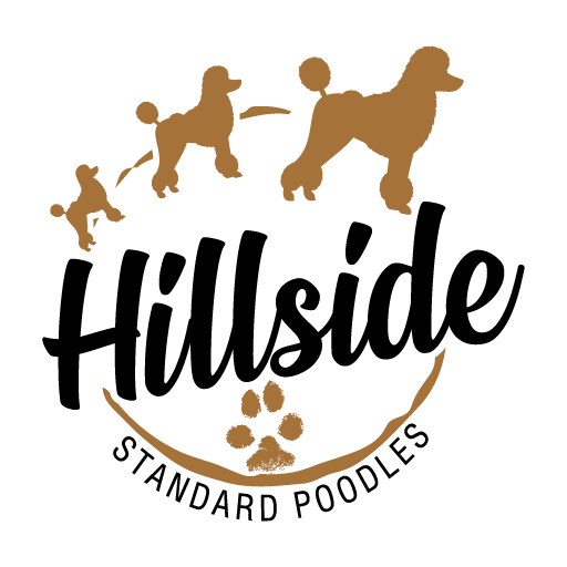 Hillside Standard Poodles Logo