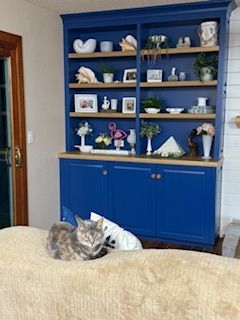 A cat is laying on a couch in front of a blue hutch.