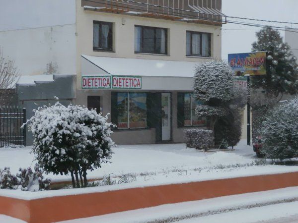 dietética el almacen