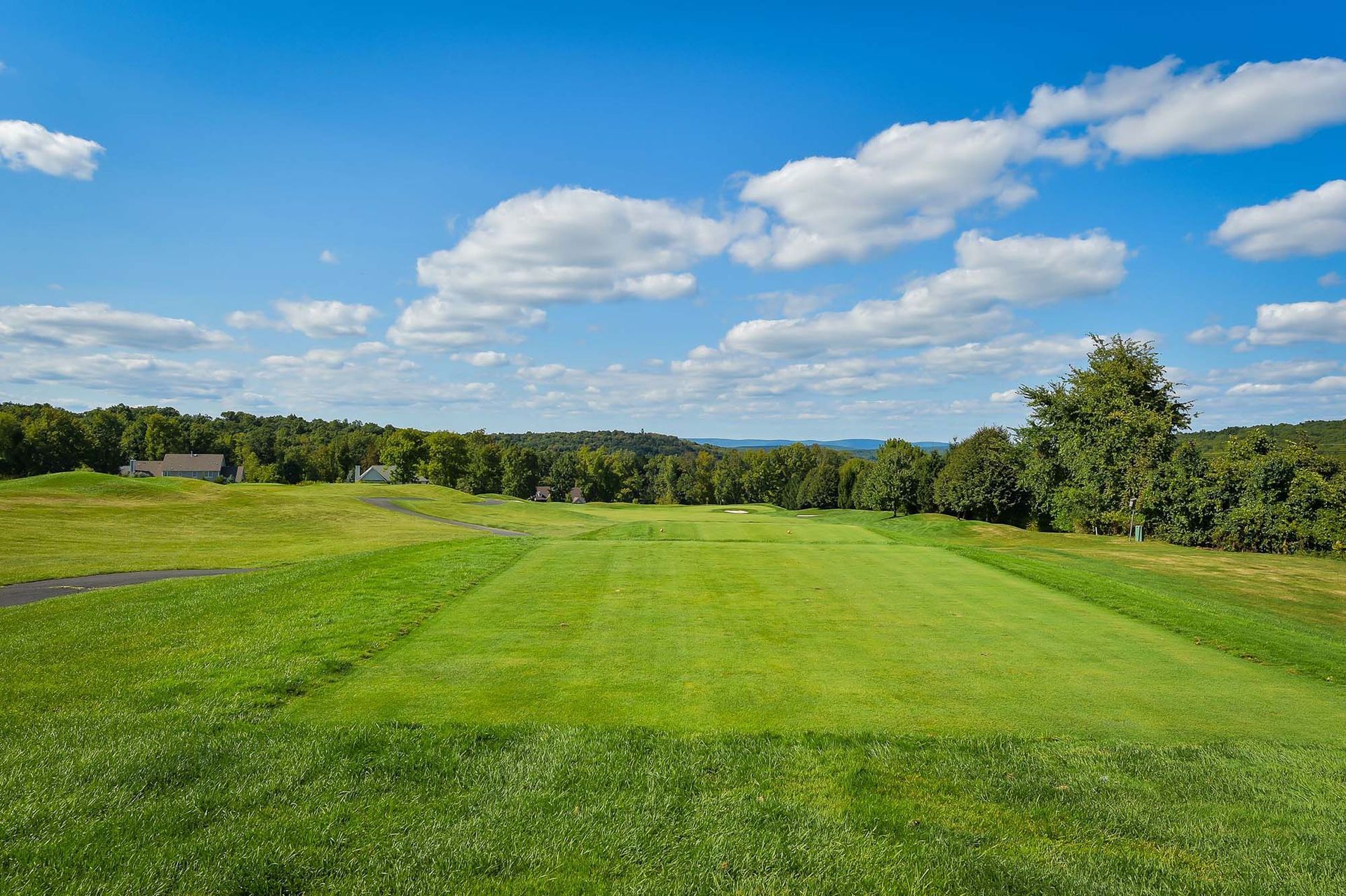 A lush green field with trees in the background and a blue sky with clouds.
