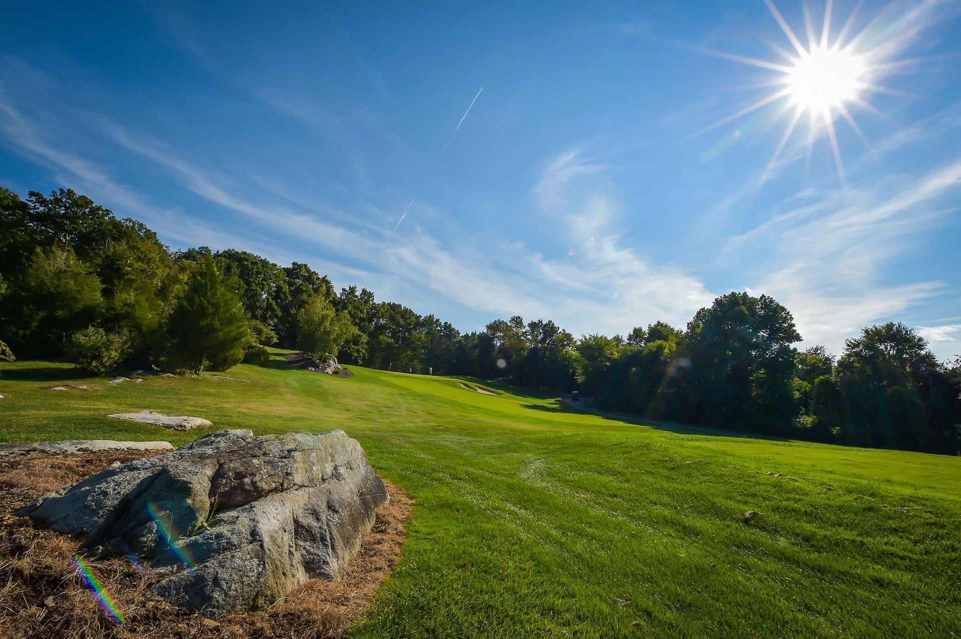 The sun is shining brightly over a lush green field