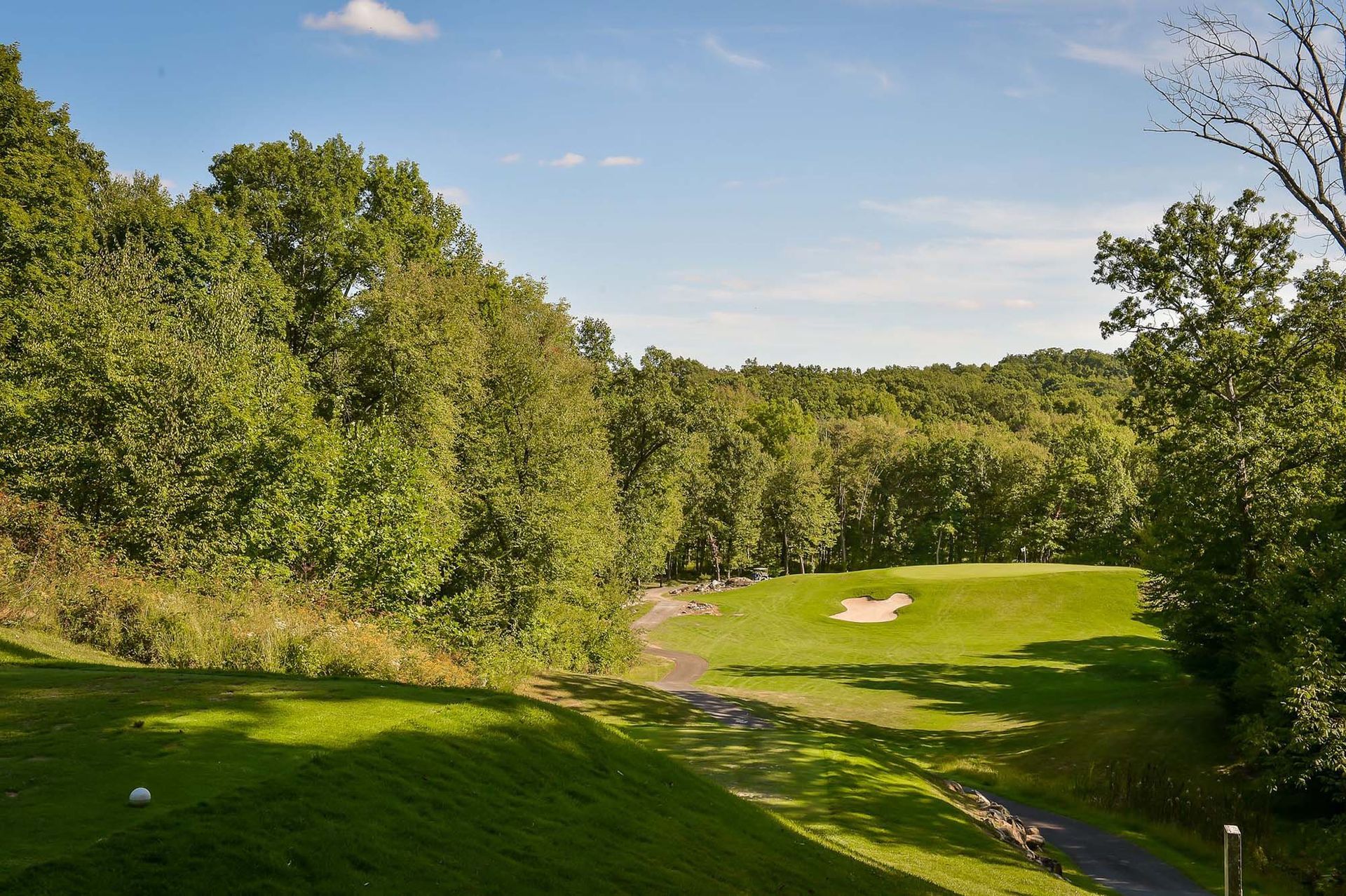 A golf course surrounded by trees on a sunny day