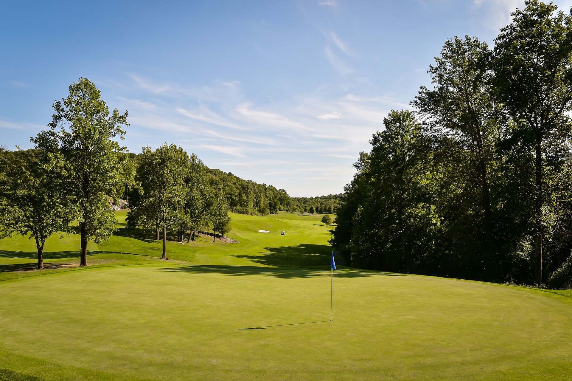 A golf course with trees and a blue flag