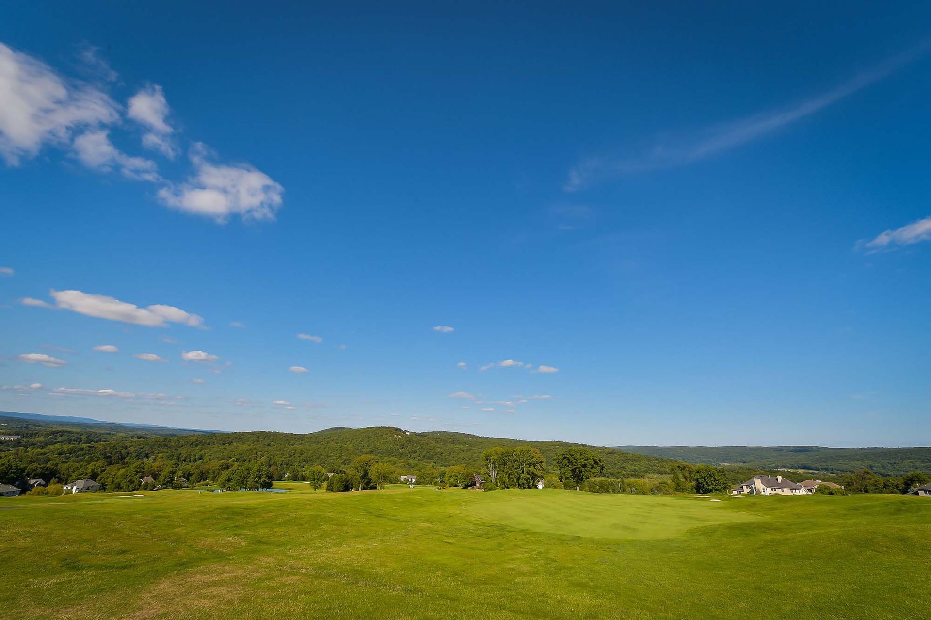 A green field with trees in the background and a blue sky with clouds.